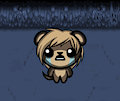 The Binding of Lee