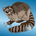 Elsa Raccoon