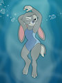 A Cute Bunny