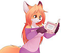 Amber Book