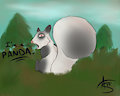 Little Panda