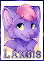 Mff 16 badge