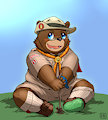 Little bear scout