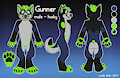 Gunner