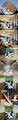 glaceon finds the apartment