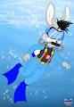 Racer Rabbit