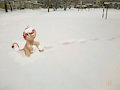 Snow can be fun too!