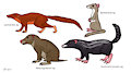 Commission: Meridiolestida Assemblage