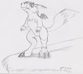 Dorumon on a Cliff by OmniSpirit