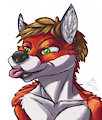 A Cute Fox by N0SpurtA2