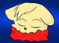 sleeping dog
