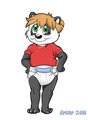 Ridefort Commission