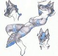 Compilation commission -Fenris- by ObsceneOblivion