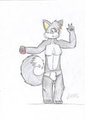 Summer picture'11 by SamzaTheArcticFoxy
