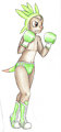 The Little Chespin Fighter