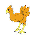 Chocobo