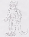 My Sonic Char. Buffed Out
