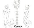 kuno-wip