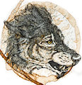 Mug Shots - Howlitzer