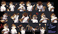 Telegram Expression Sheet