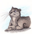 Otter Paints Practice