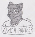 Stream: Bust of Zareth_Panther