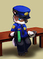 Commission for CyCy