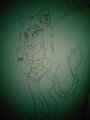 Shia the lioness