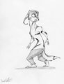 AC 2014 Unexpected Arrival