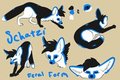 Schatzi feral ref by SiraLoba