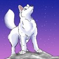 Stargazing by SachiCoon