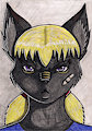 Redraw pic by jorun1981