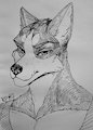 Chris by Imperator3