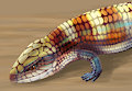 Blue Tongue Lizard
