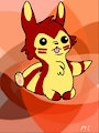 Joshy furret