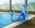 Morning Practice - Animated [Art by Okami - Anim by Wulff]