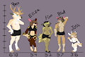 Bancroft Family Size comparison chart
