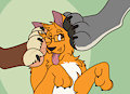 Paw Smoosh