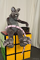 Rattus stuck in the 80s