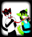 Walking the cat by Hushky
