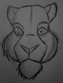Big Cat Face 