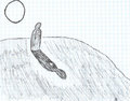 Hole where the heart should be