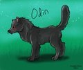 Odin