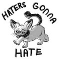 Haters Gonna Hate