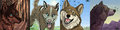 Furcadia Portraits: 2