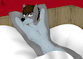 Commission -27-