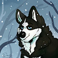 Chris by Imperator3