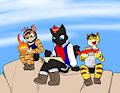 Cats on a Hike by Immelmann