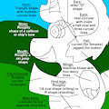 How I Draw Ponies (Redrawn)