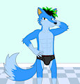 Alex The Fox
